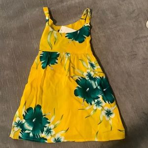 Luau Dress